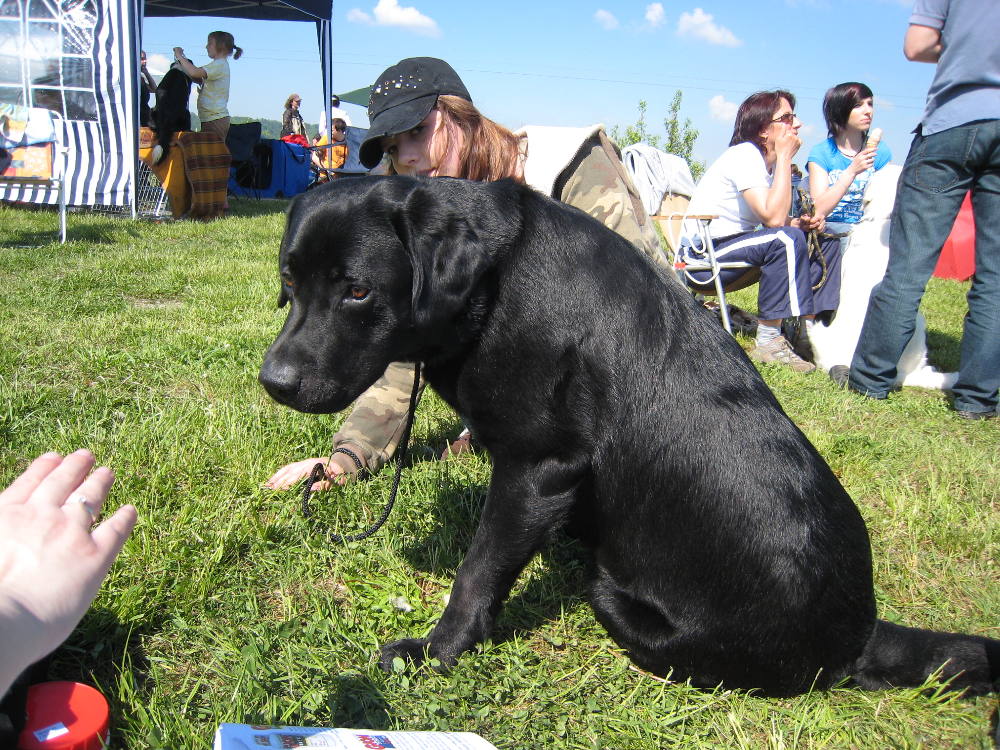 Arny vřstava HluŔÝn 2008 005.jpg