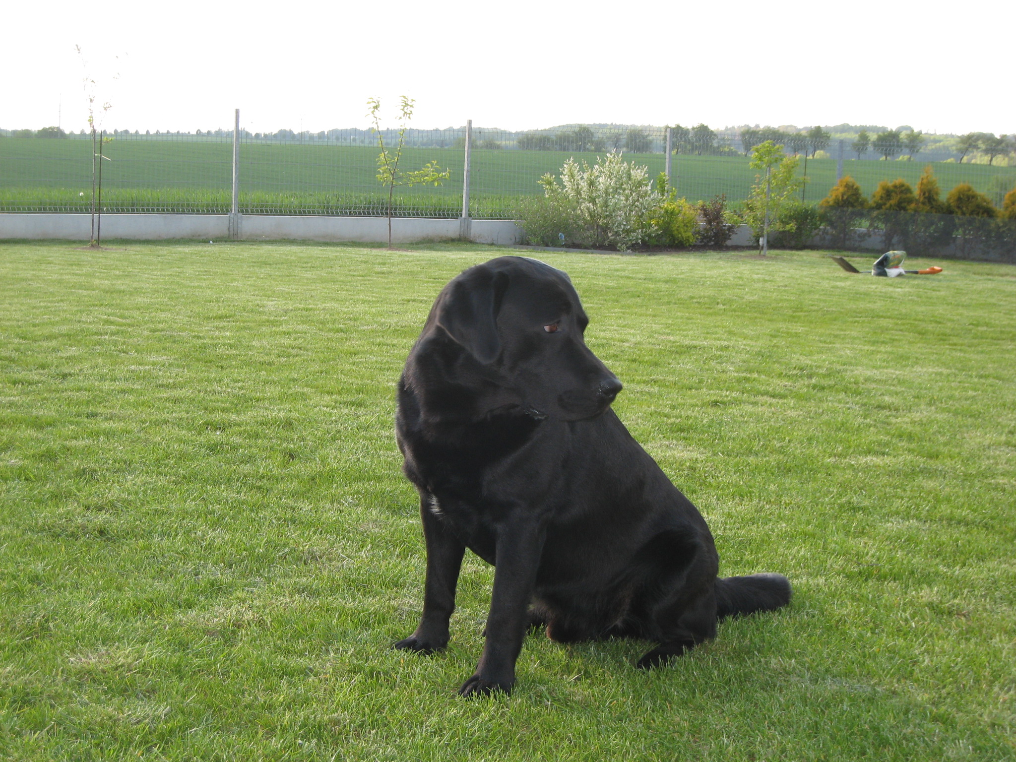Arny vřstava HluŔÝn 2008 023.jpg